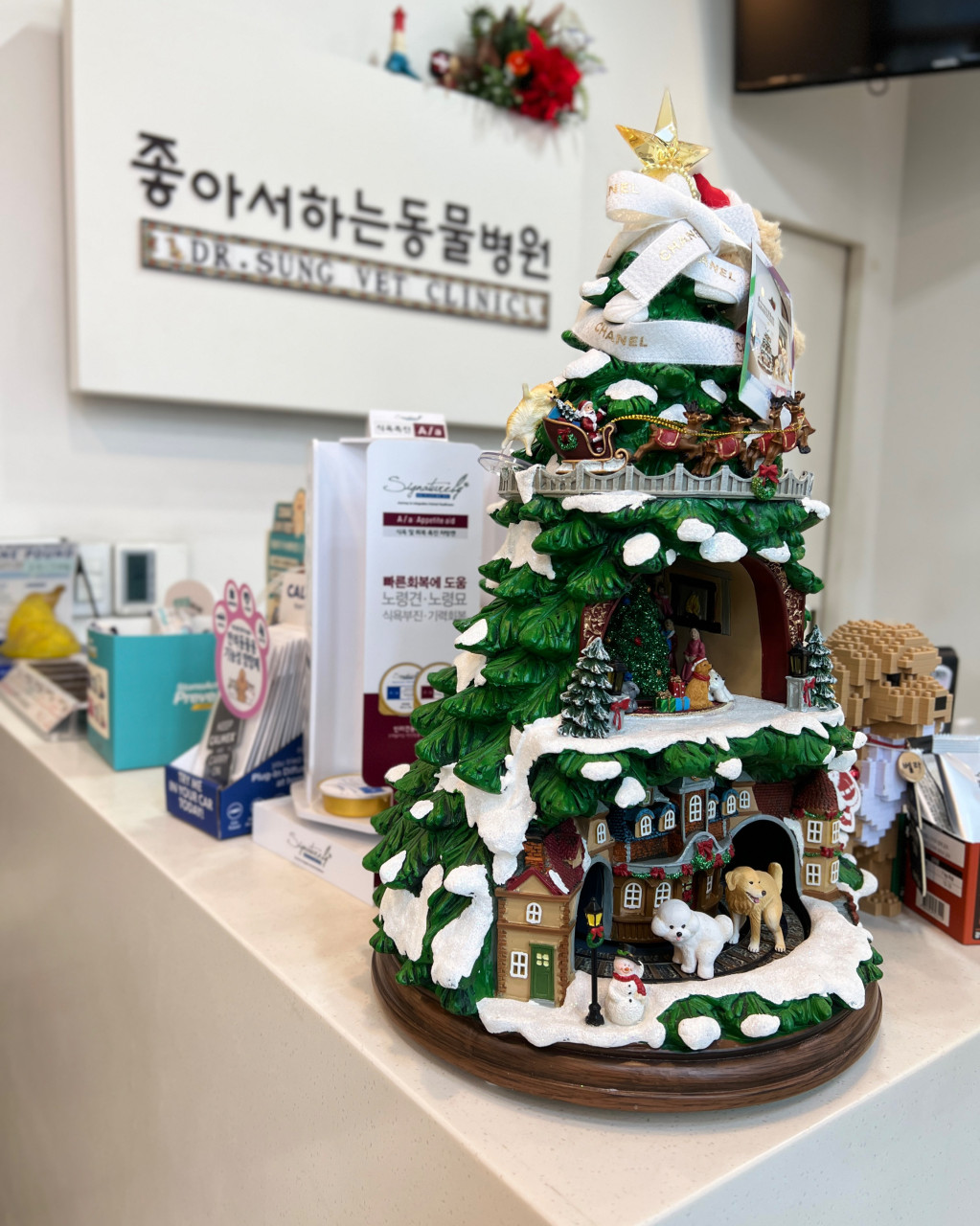 수의사가 건강한 반려동물을 다정하게 안고 있는 모습